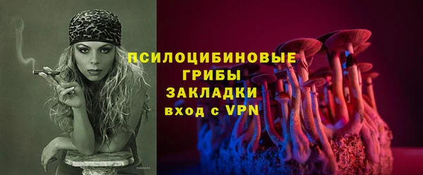 спайс Алексин