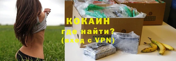 спайс Алексин