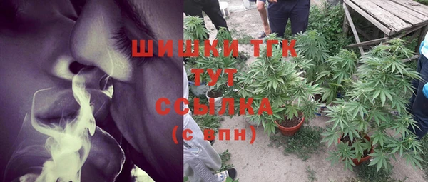 спайс Алексин