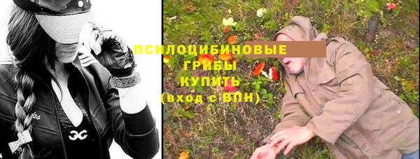 спайс Алексин