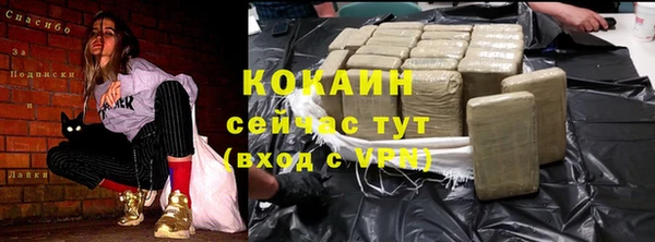 спайс Алексин